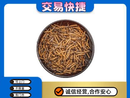 牡丹江宁安回收散虫草